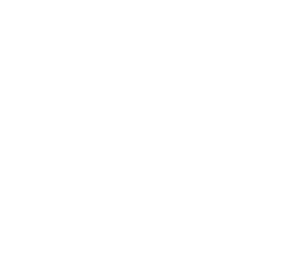 Interactive and multimedia