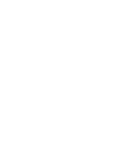 Multitouch e Multipen