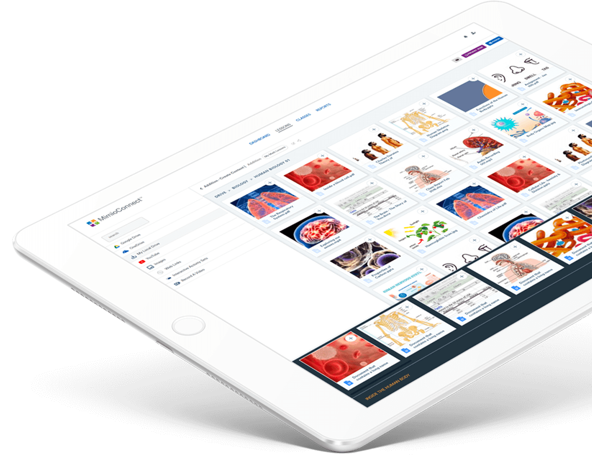 Wacebo<span>Ximbus</span>